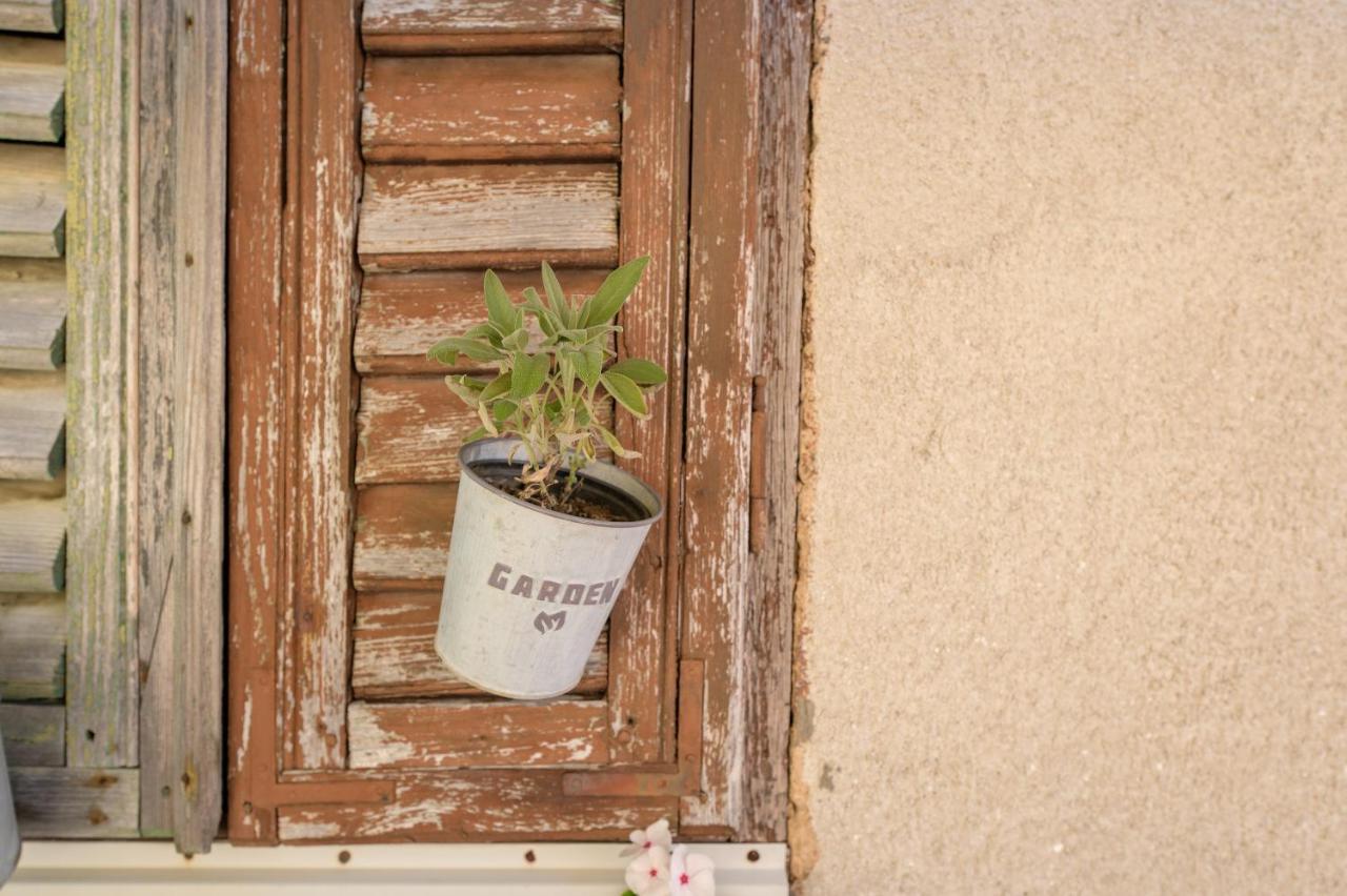 Boutique B&B Mali Pariz Grizane-Belgrad Екстер'єр фото