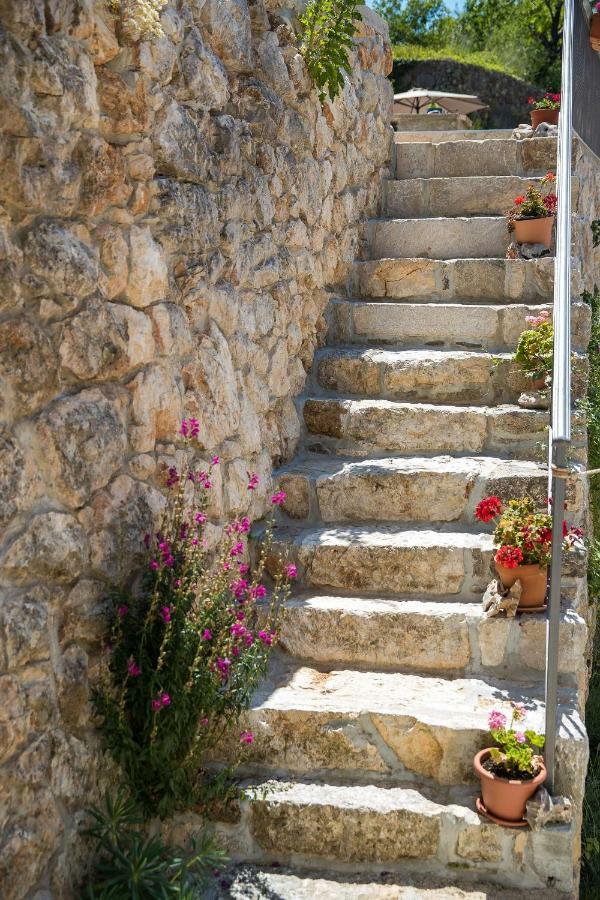Boutique B&B Mali Pariz Grizane-Belgrad Екстер'єр фото
